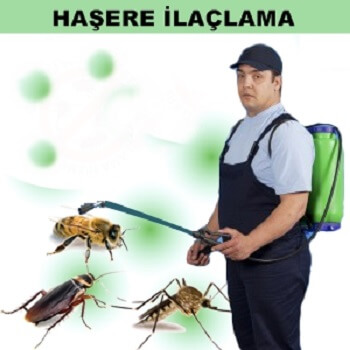 Hendek Böcek İlaçlama